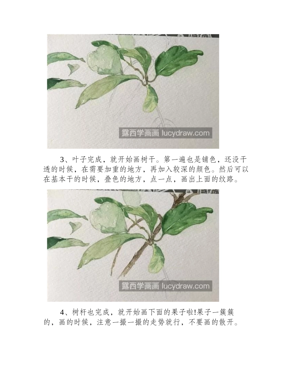 红果子怎么画_水彩古风植物的画法是什么_水彩画教程_第2页