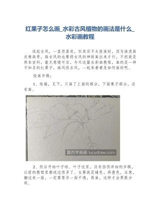 红果子怎么画_水彩古风植物的画法是什么_水彩画教程