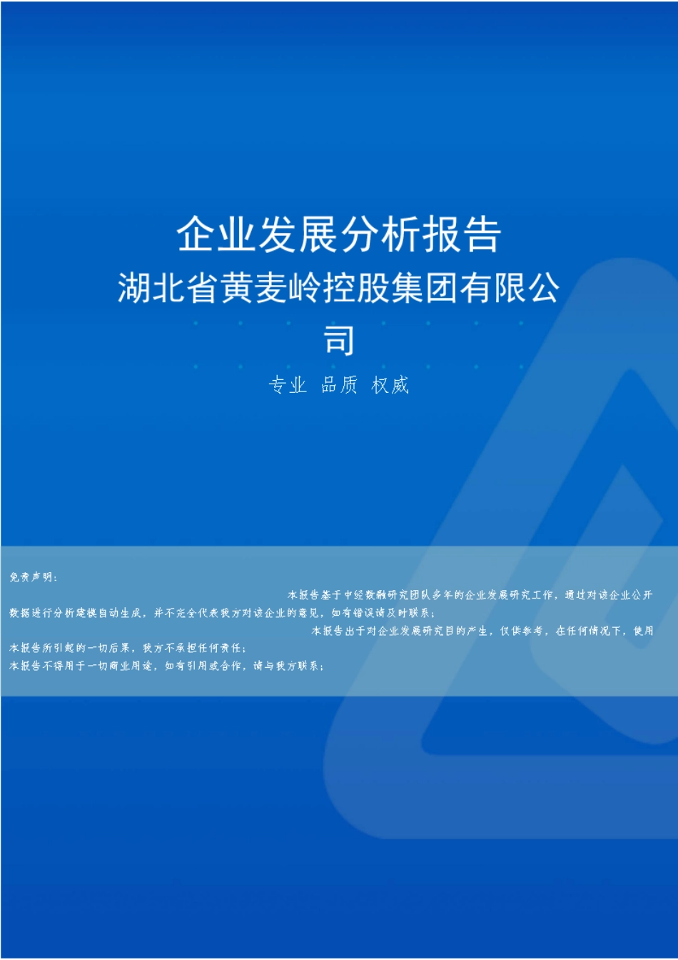 湖北省黄麦岭控股集团有限公司介绍企业发展分析报告 _第1页