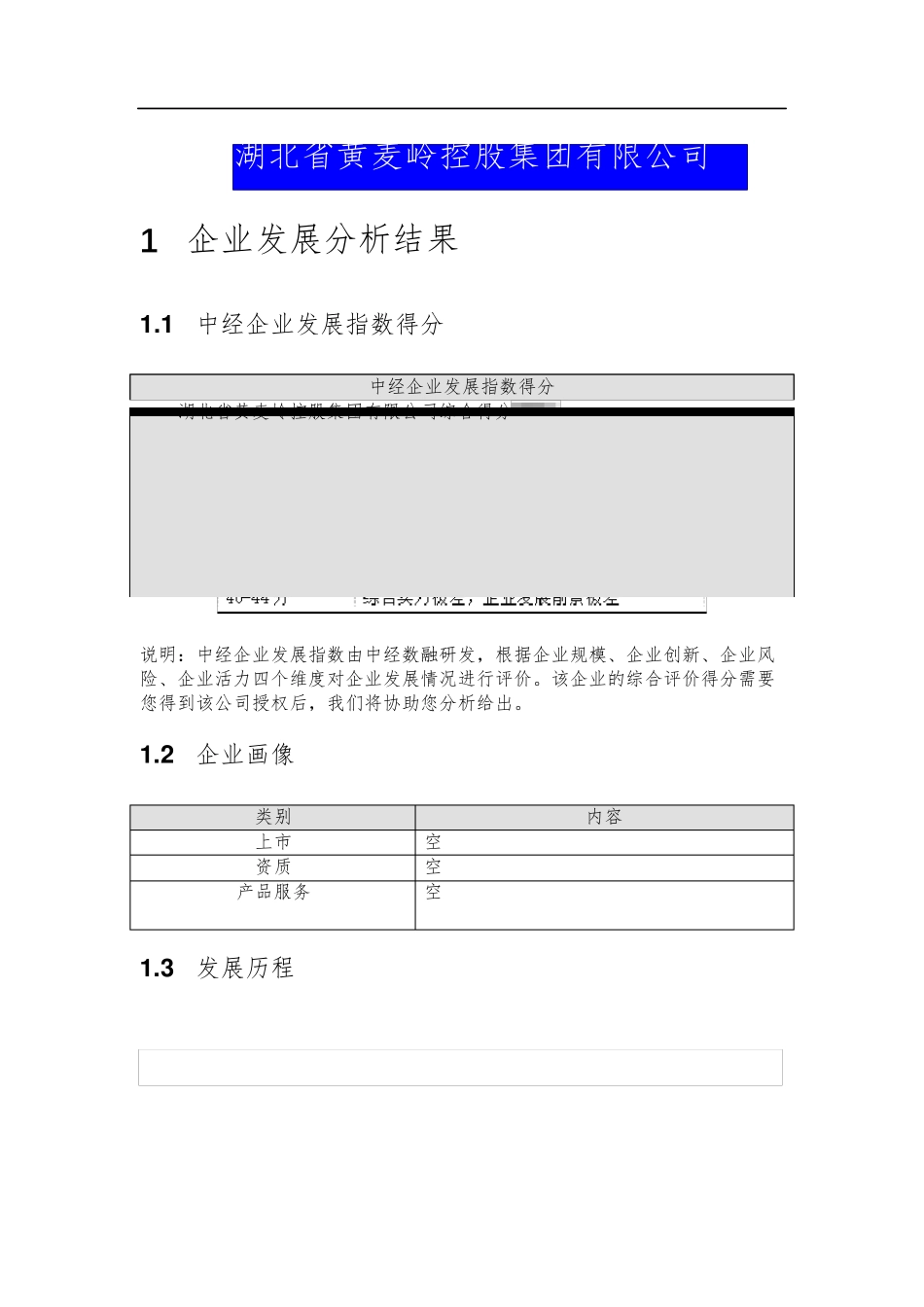 湖北省黄麦岭控股集团有限公司介绍企业发展分析报告 _第2页
