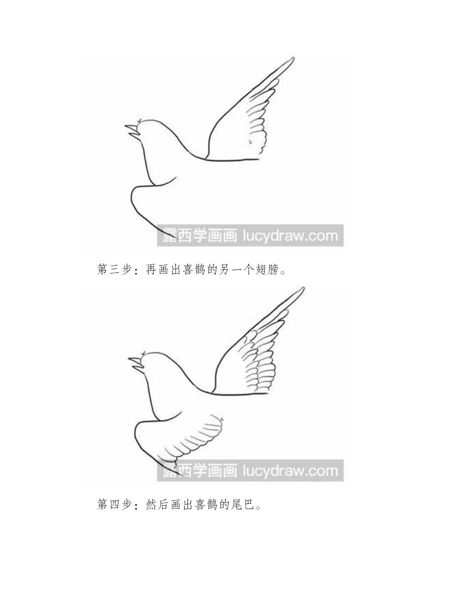 简笔画教程：怎么画一只飞翔的喜鹊简笔画教程1_第2页