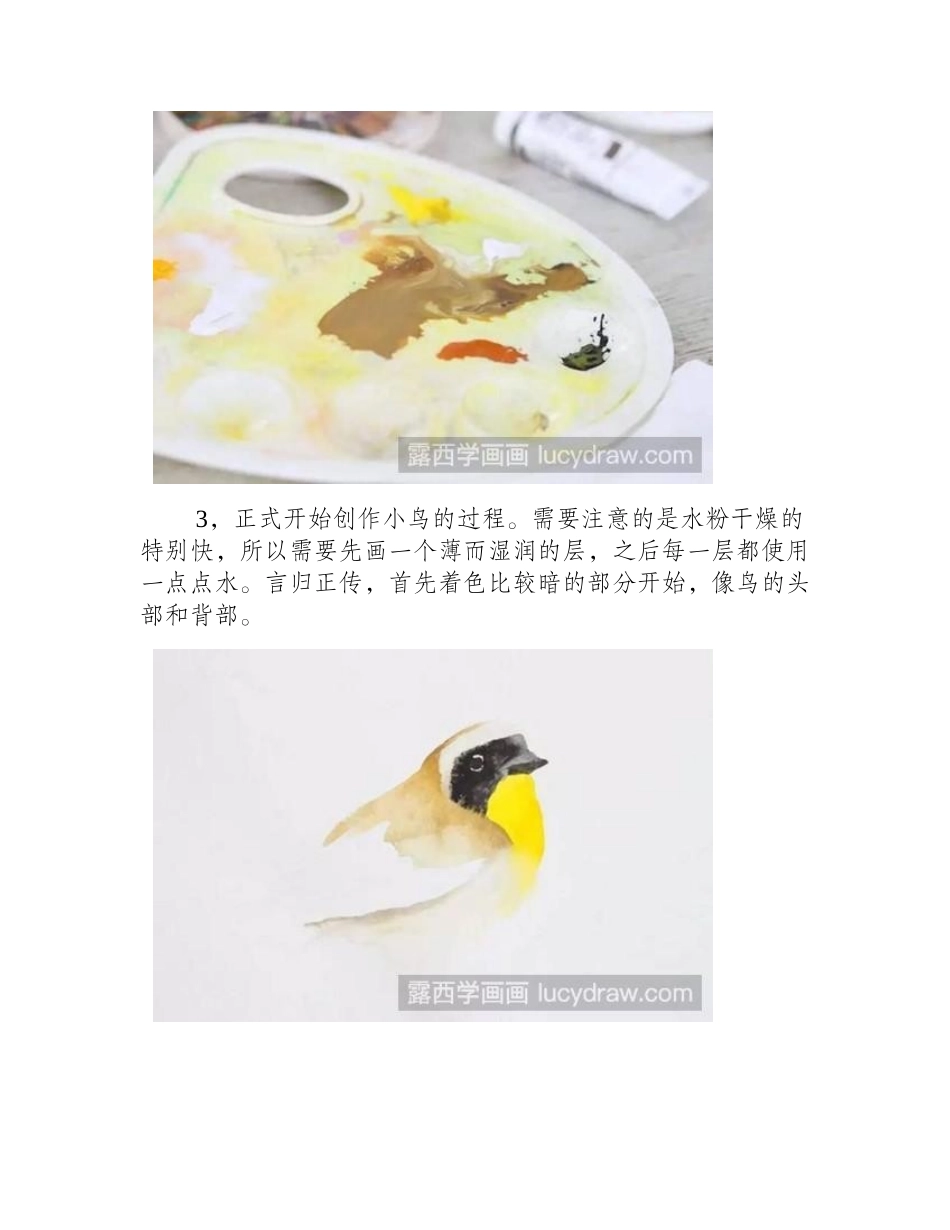 黄鹂水粉画教程水粉画教程_第2页