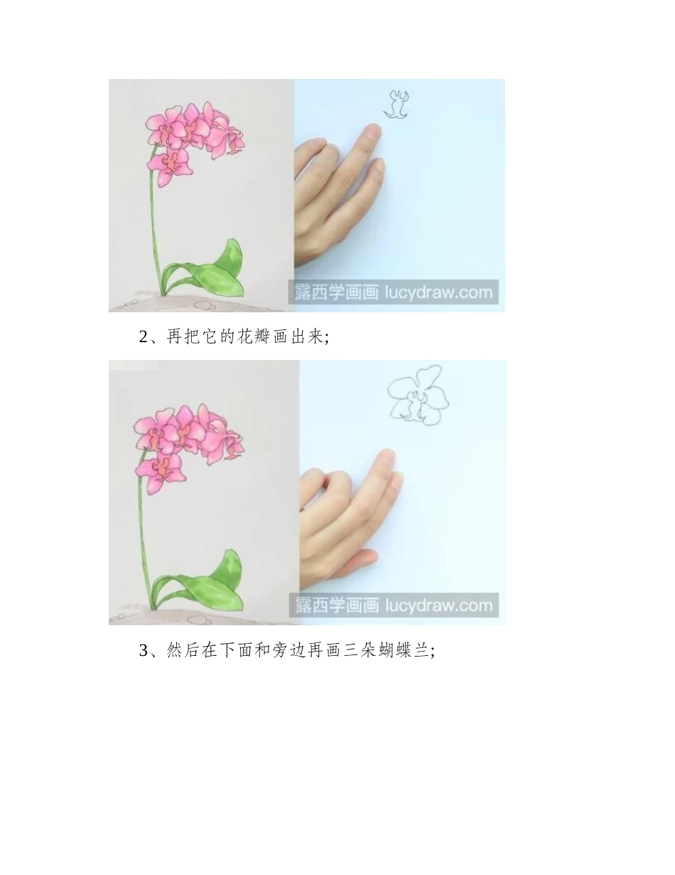 蝴蝶兰简笔画怎么画_简笔画教程_第2页