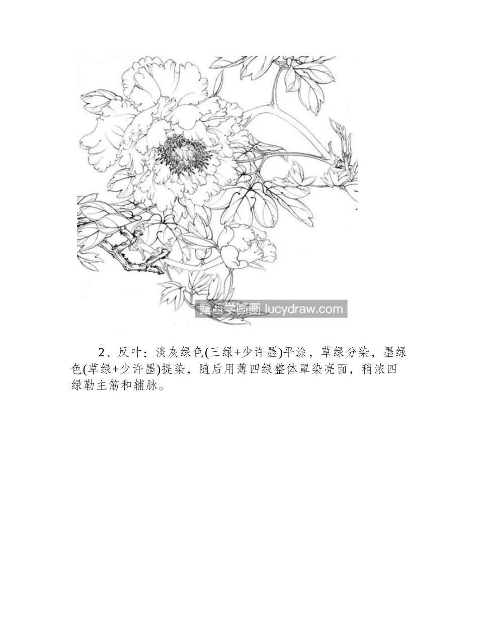 红牡丹怎么画_有哪些设色步骤_工笔画教程_第2页