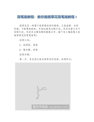简笔画教程：教你画烟草花简笔画教程1