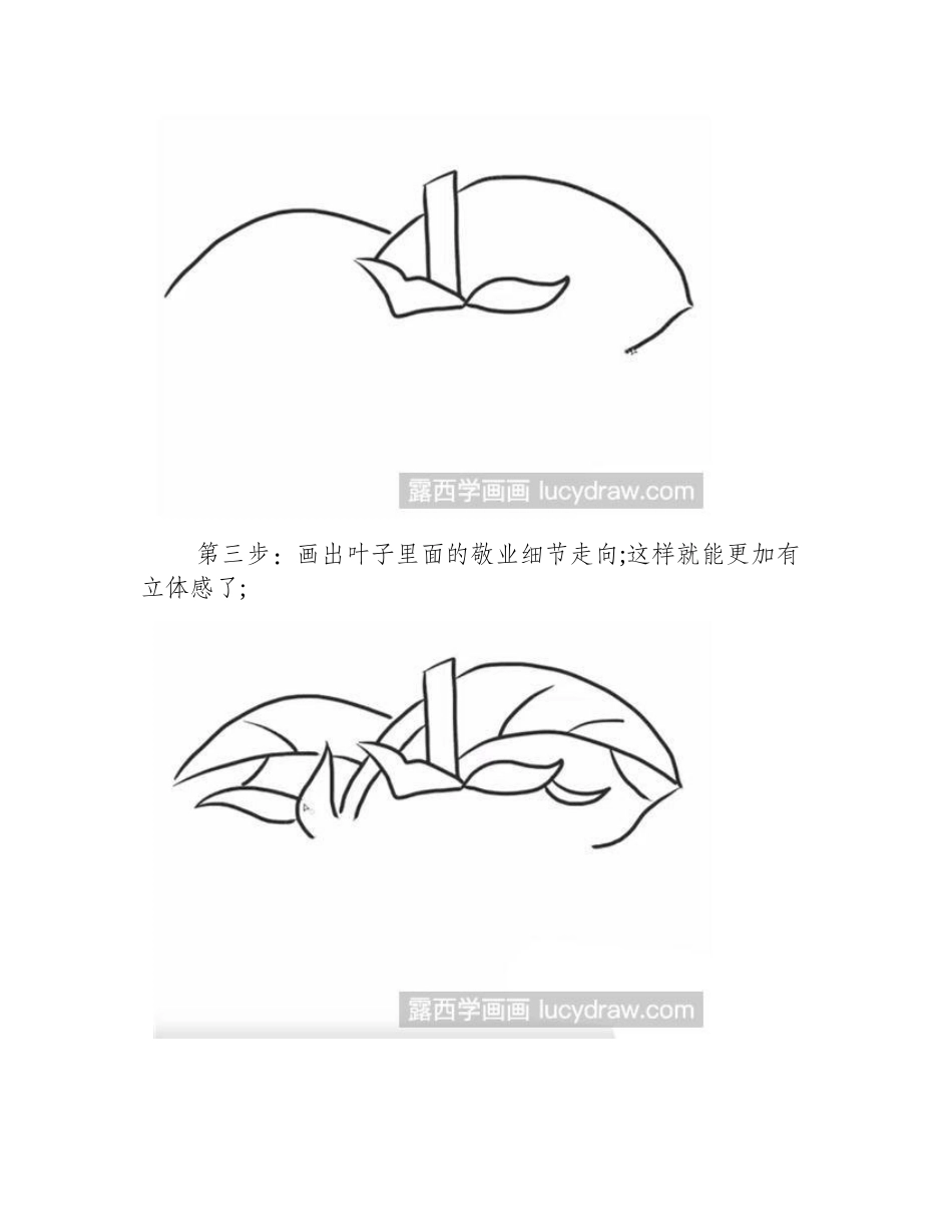 简笔画葡萄怎么画简笔画教程_第2页
