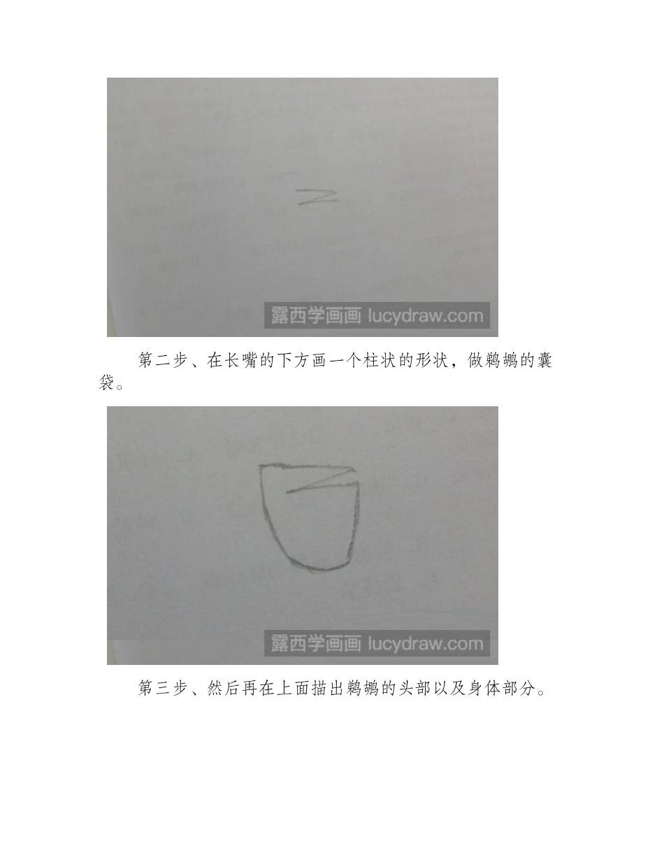 简笔画教程：教你画鹈鹕简笔画教程_第2页