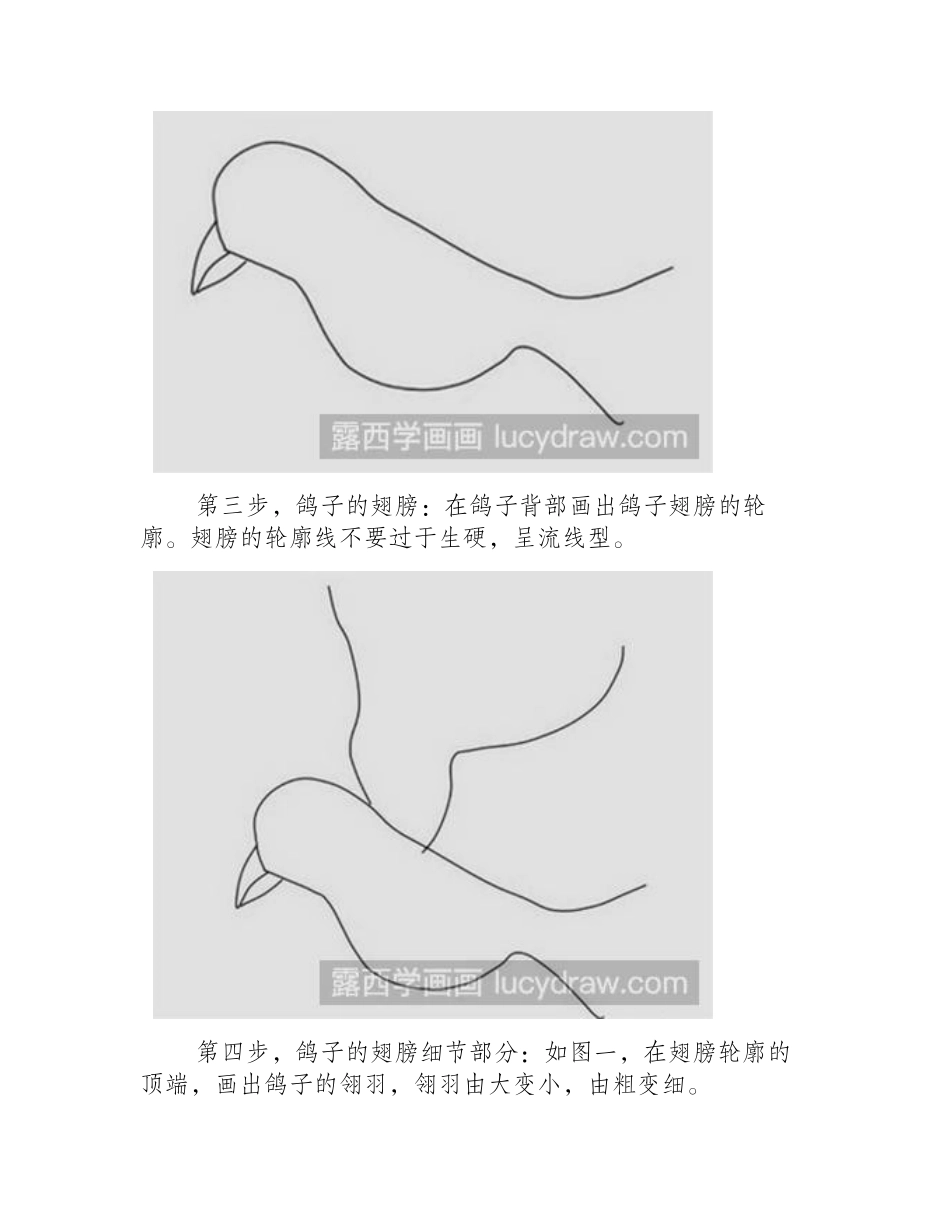 简笔画教程：怎么画和平鸽简笔画教程_第2页
