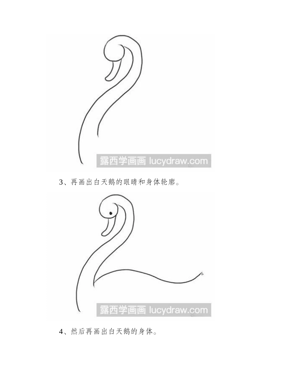 简笔画教程-怎么画白天鹅简笔画教程_第2页