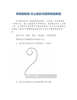 简笔画教程-怎么画白天鹅简笔画教程