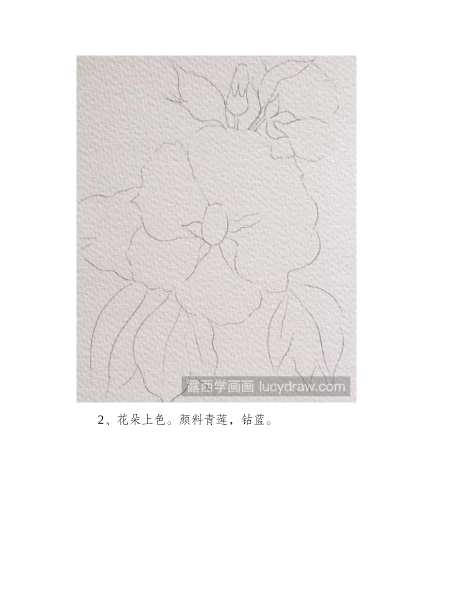教你画水彩木槿花水彩画教程_第2页
