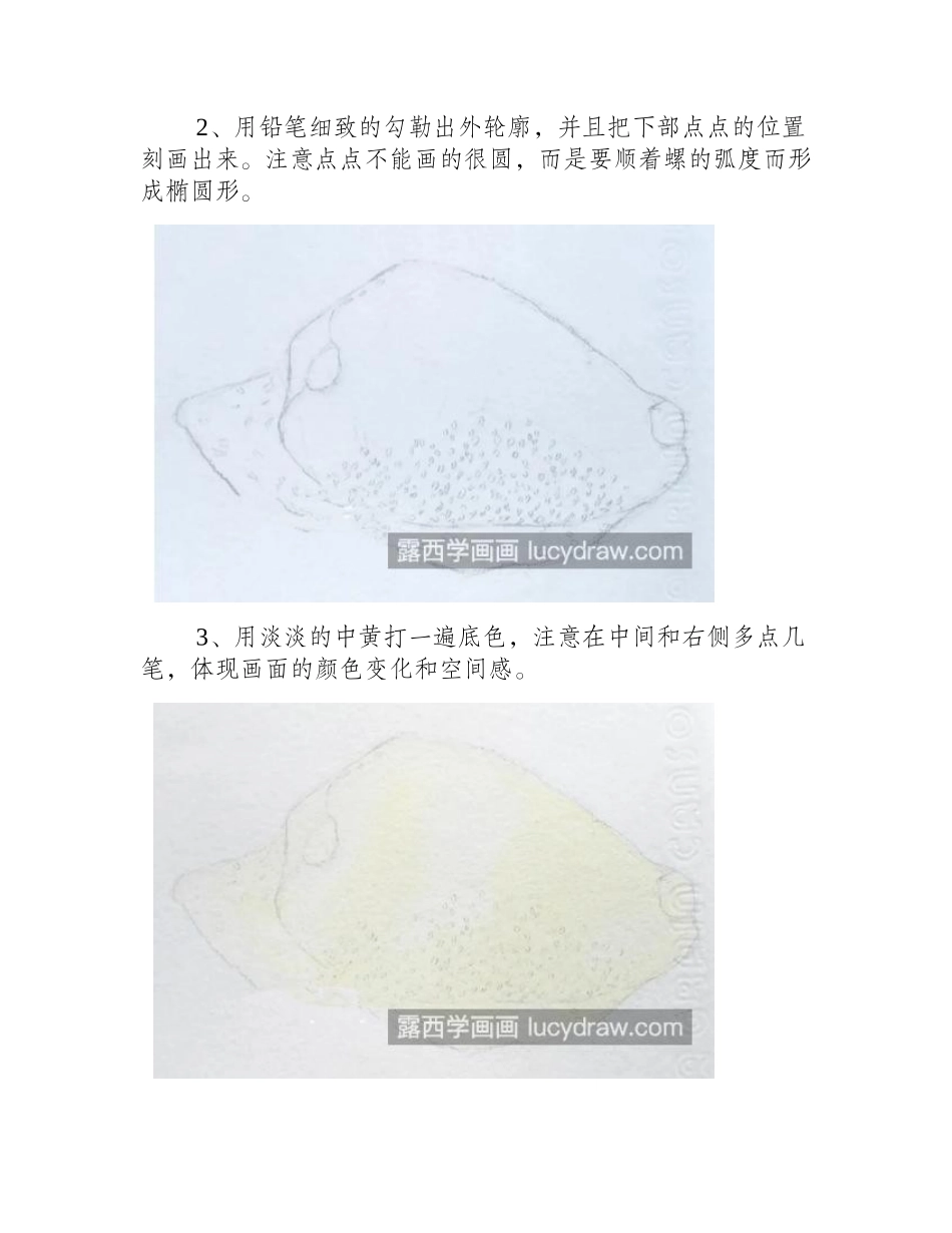 黑点玛瑙贝怎么画_海兔螺的水彩画法是什么_水彩画教程_第2页