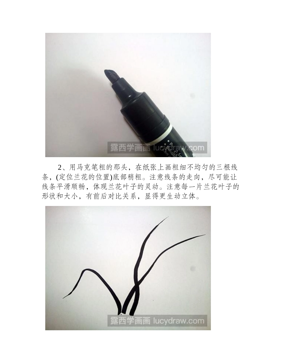 教你用马克笔画兰花儿童画教程_第2页