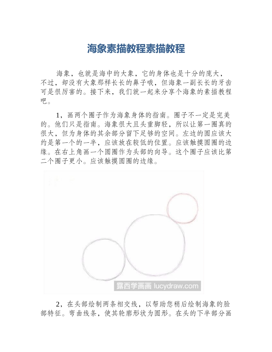 海象素描教程素描教程_第1页