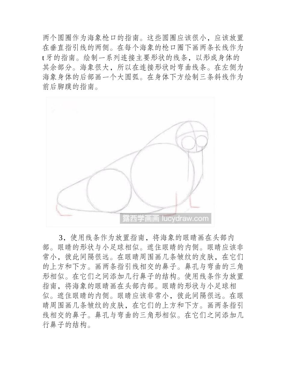 海象素描教程素描教程_第2页