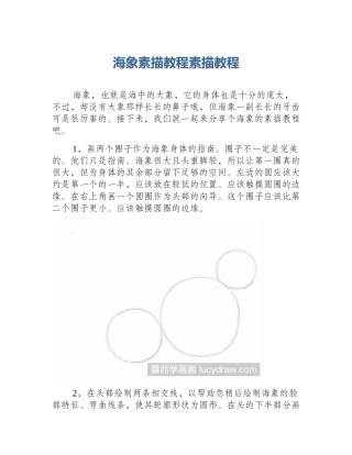 海象素描教程素描教程