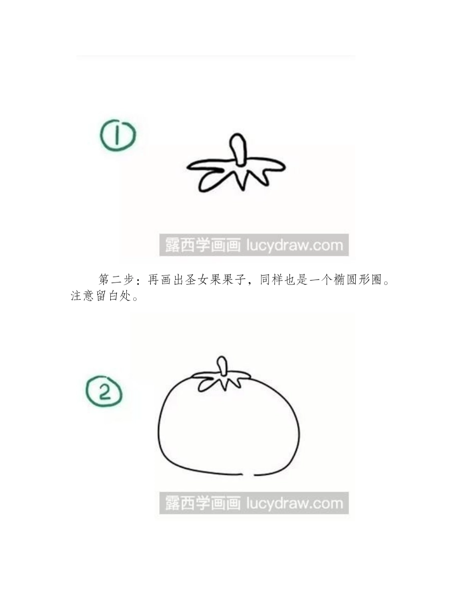 简笔画教程：教你画圣女果简笔画教程_第2页