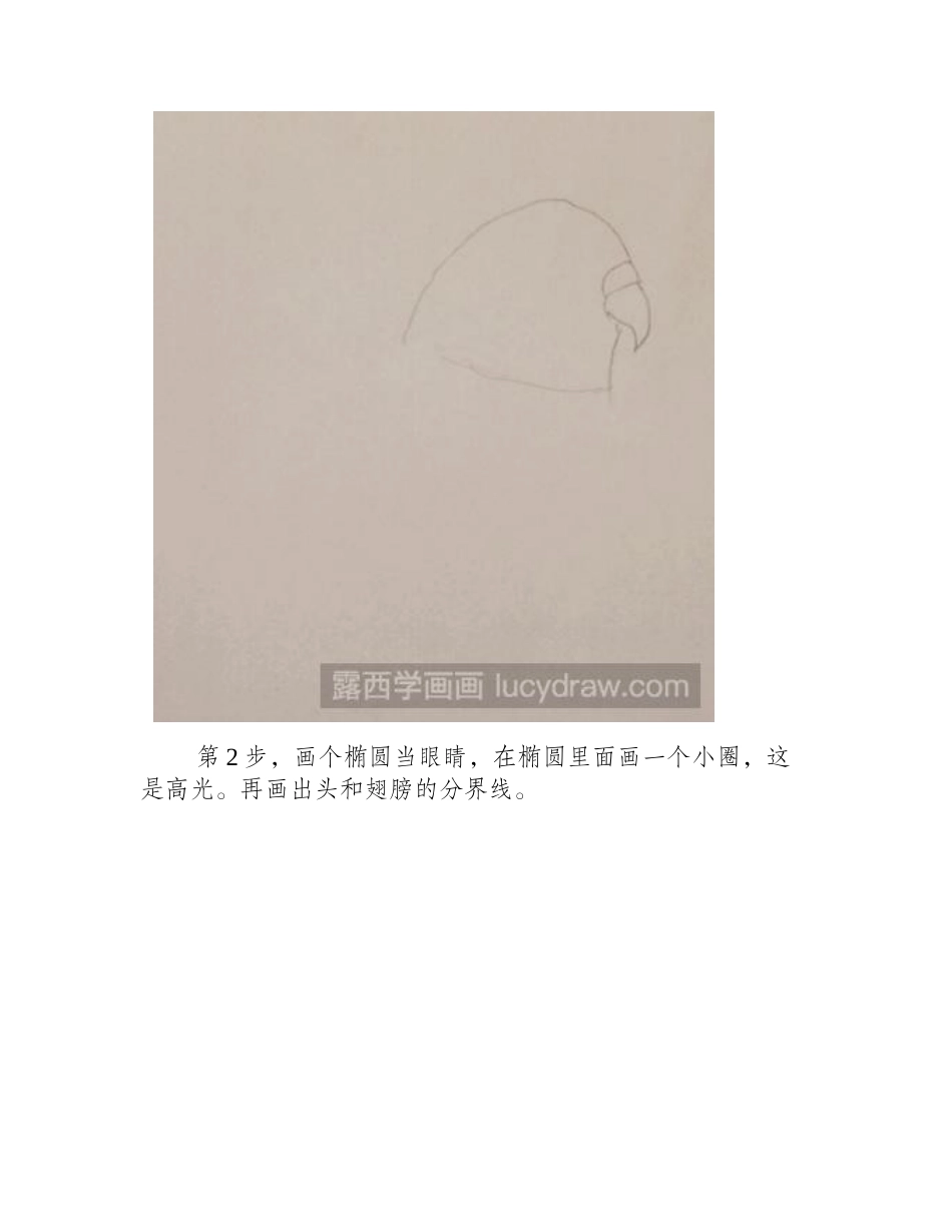 虎皮鹦鹉彩铅画教程彩铅画教程_第2页