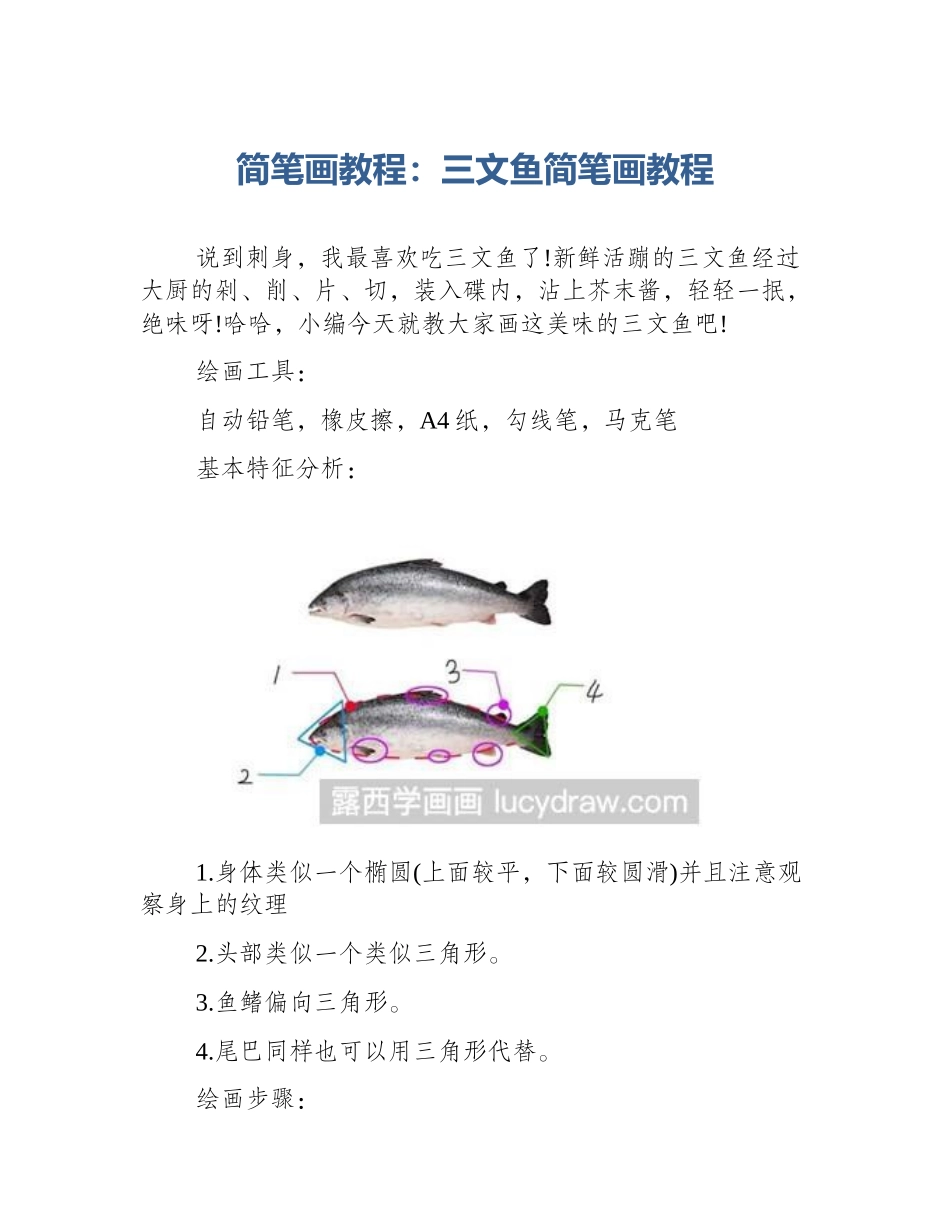 简笔画教程：三文鱼简笔画教程_第1页