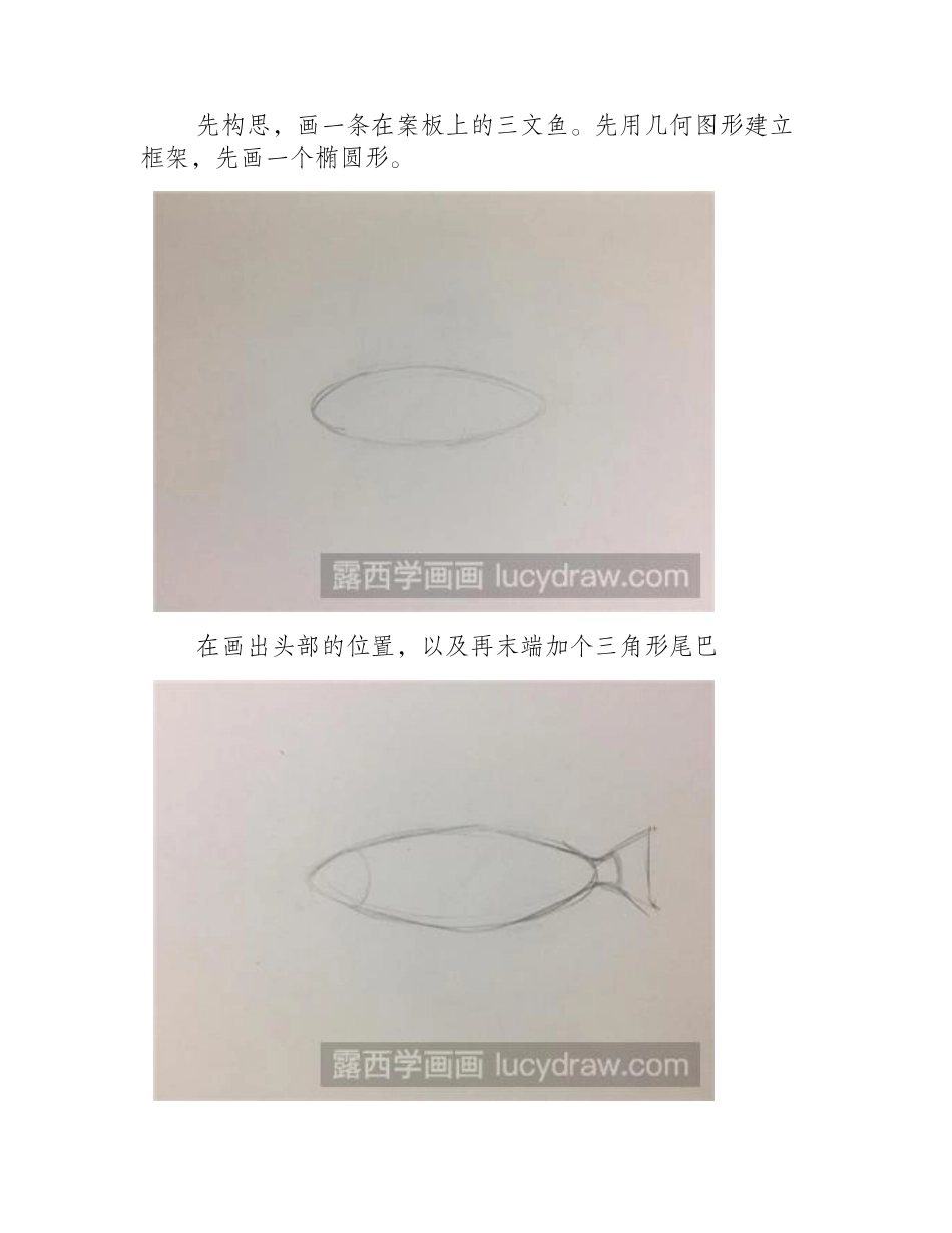 简笔画教程：三文鱼简笔画教程_第2页