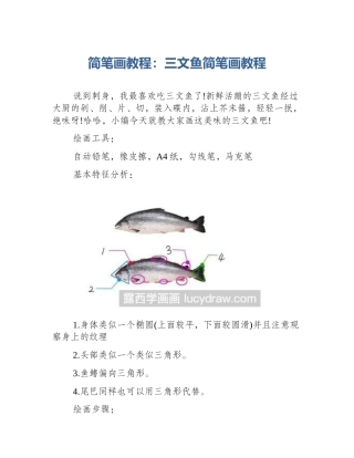 简笔画教程：三文鱼简笔画教程