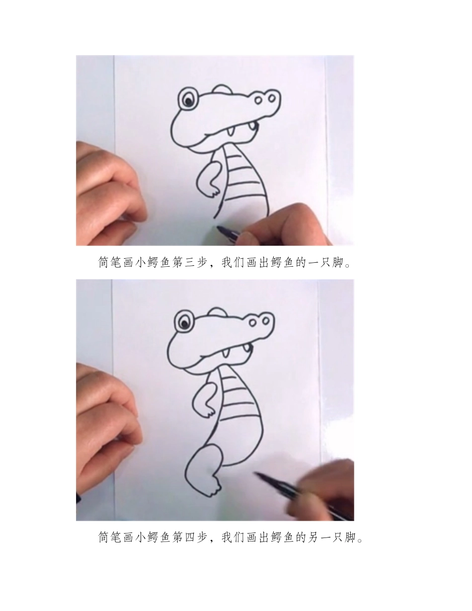简笔画小鳄鱼简笔画作品1_第2页
