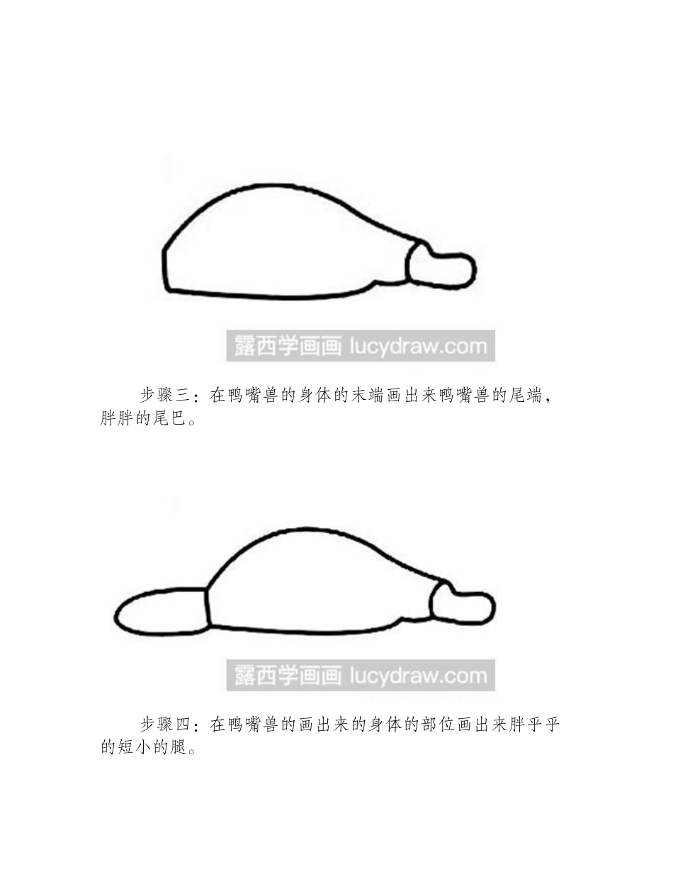 简笔画教程：鸭嘴兽的画法简笔画教程_第2页