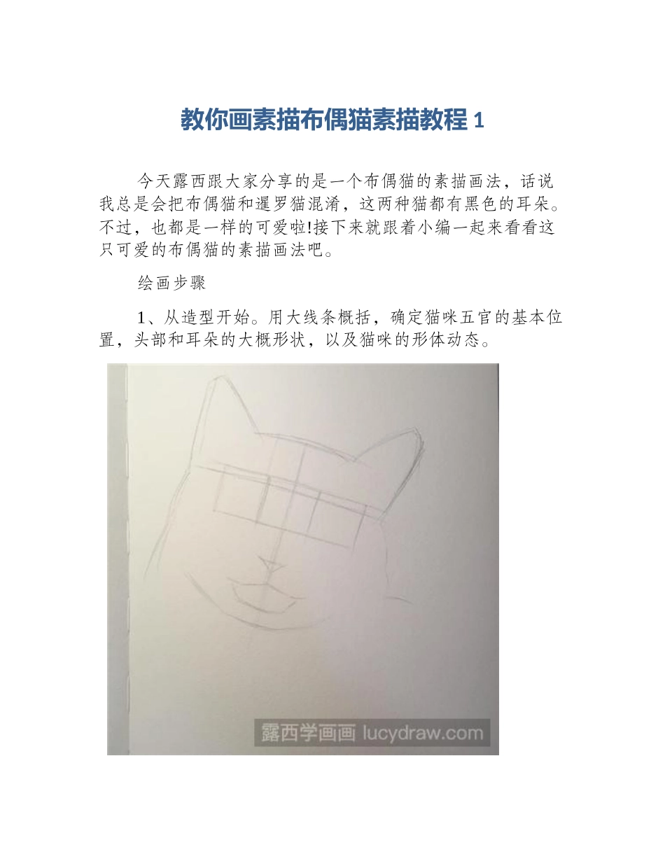 教你画素描布偶猫素描教程1_第1页