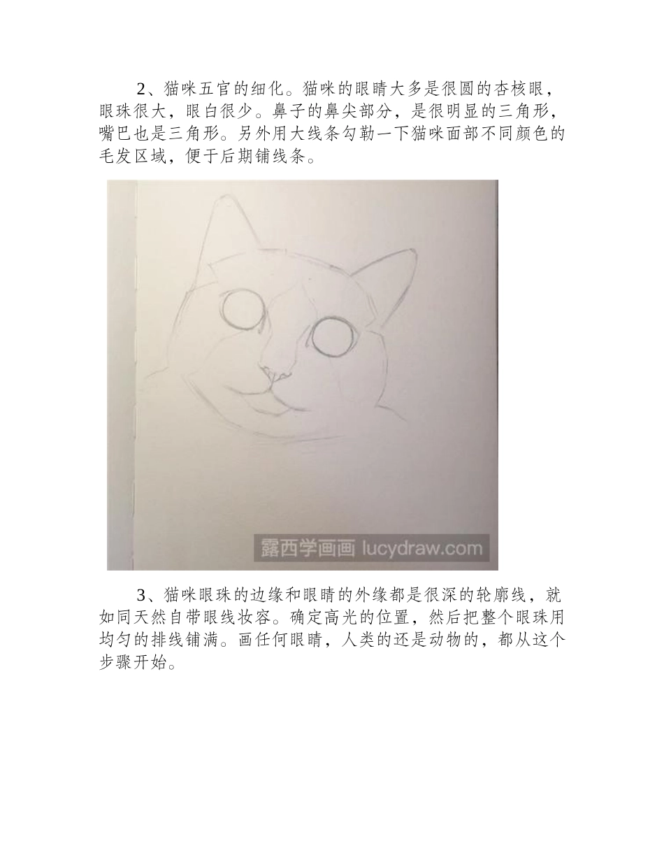 教你画素描布偶猫素描教程1_第2页