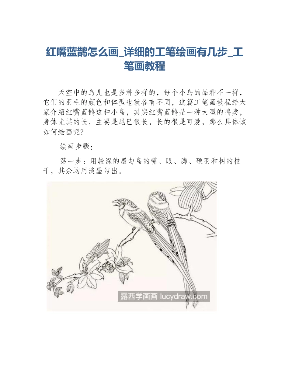 红嘴蓝鹊怎么画_详细的工笔绘画有几步_工笔画教程_第1页