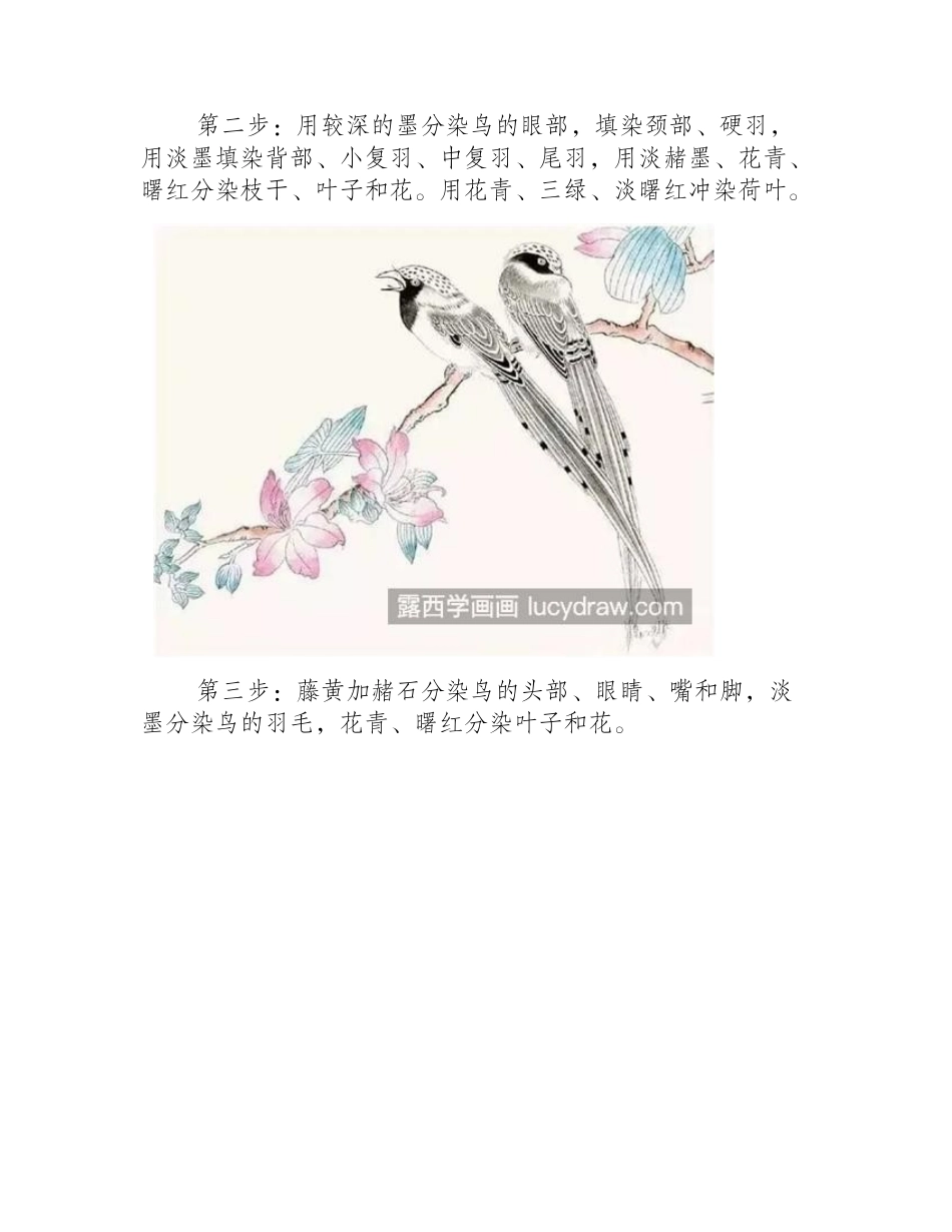 红嘴蓝鹊怎么画_详细的工笔绘画有几步_工笔画教程_第2页