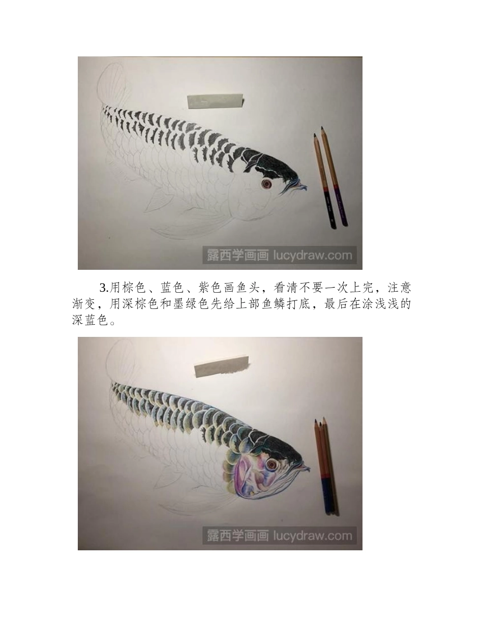简单水彩教程：怎么画龙鱼_彩铅画教程_第2页