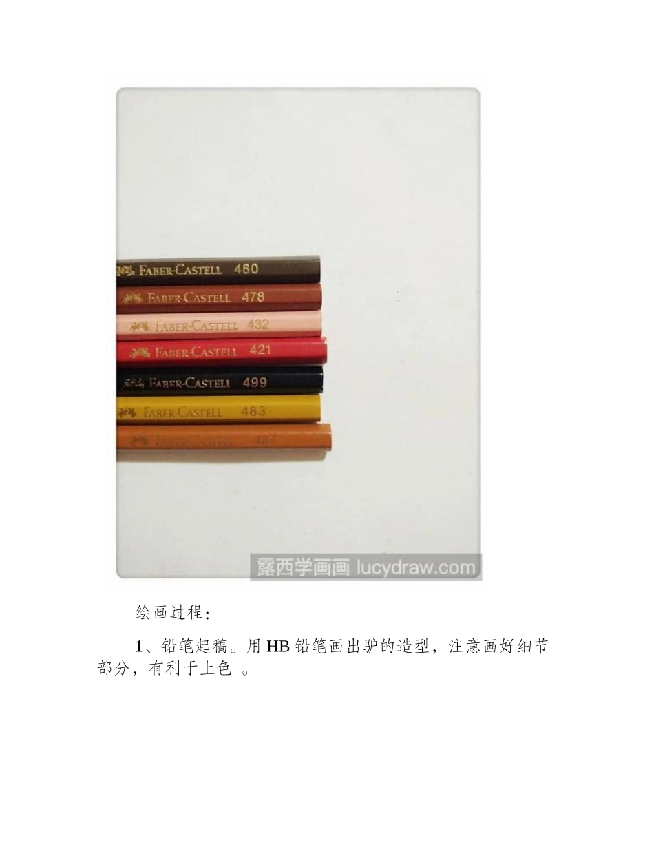 教你画一只有意思的驴彩铅画教程_第2页