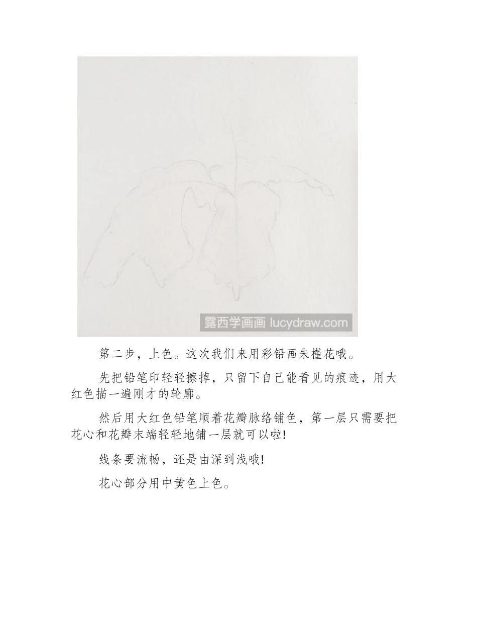教你怎么画朱瑾花彩铅画教程_第2页