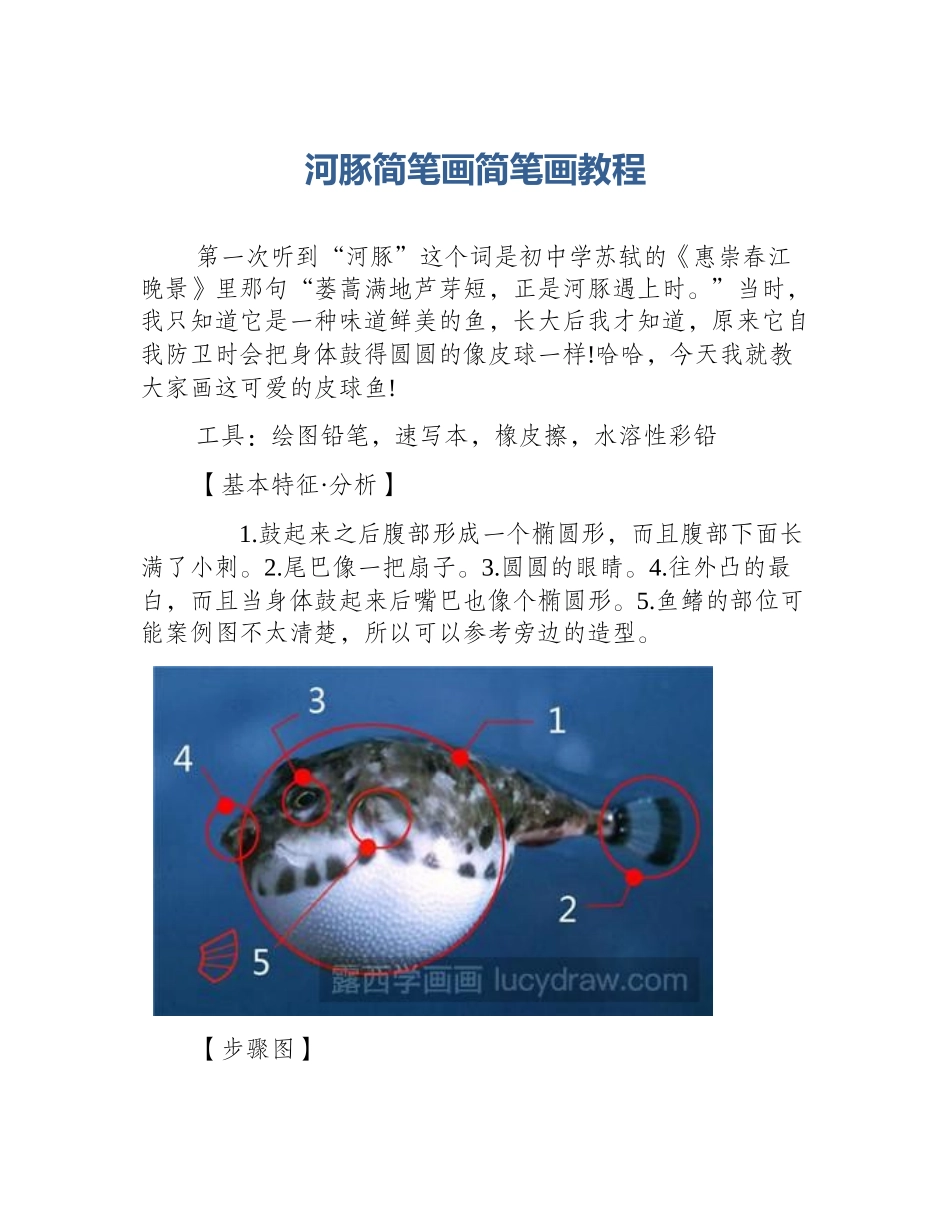 河豚简笔画简笔画教程_第1页