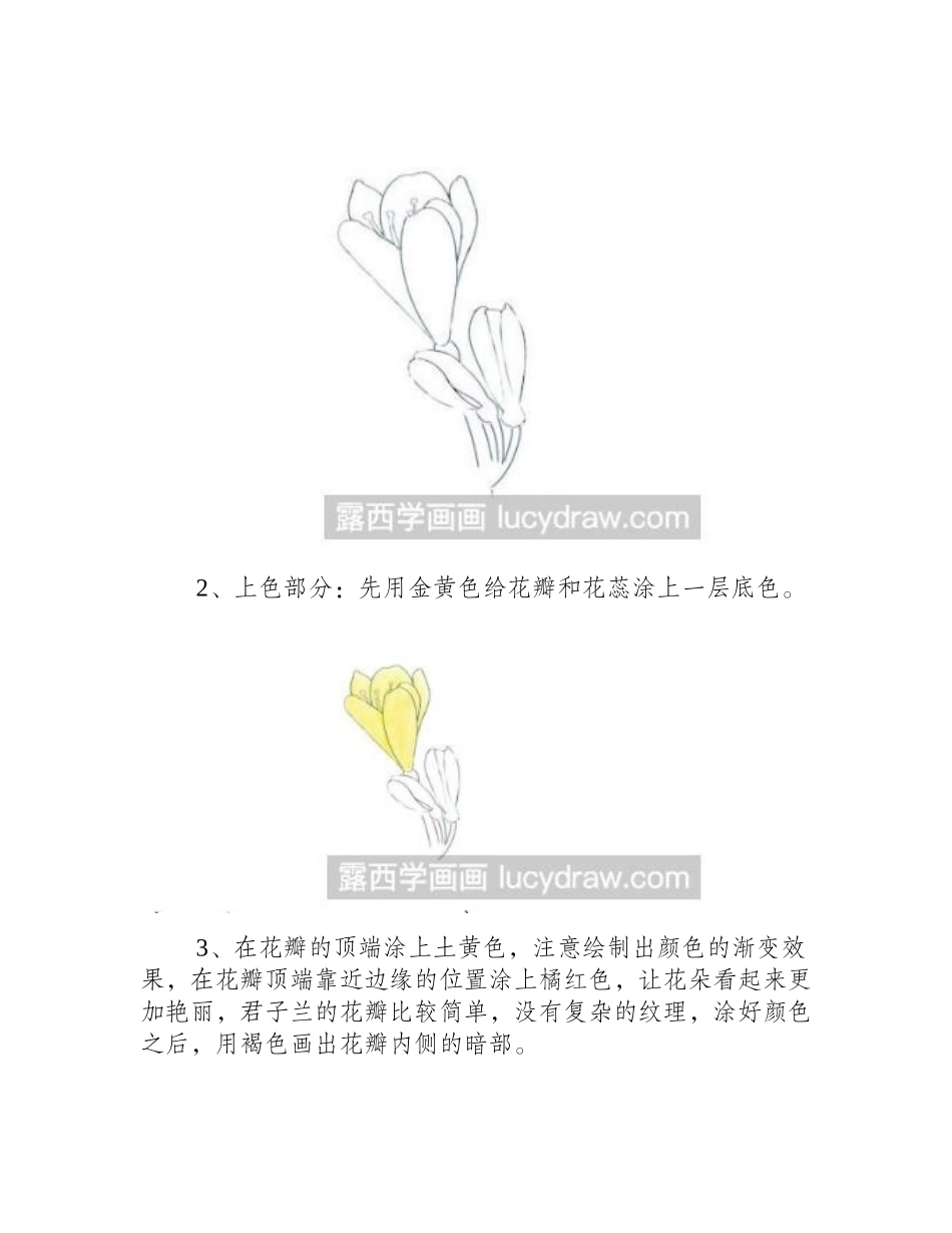 教你画君子兰花朵的彩铅画彩铅画教程_第2页