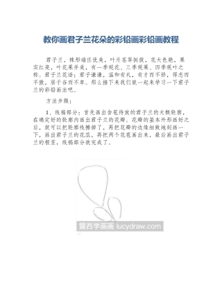 教你画君子兰花朵的彩铅画彩铅画教程