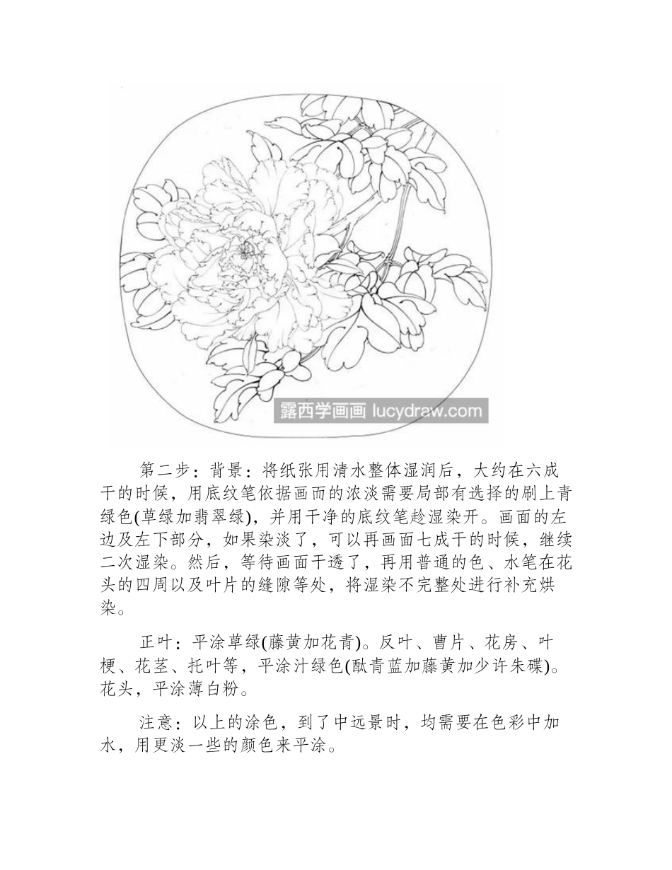 国色天香牡丹怎么画_孩儿面牡丹的详细绘画步骤介绍工笔画教程_第2页