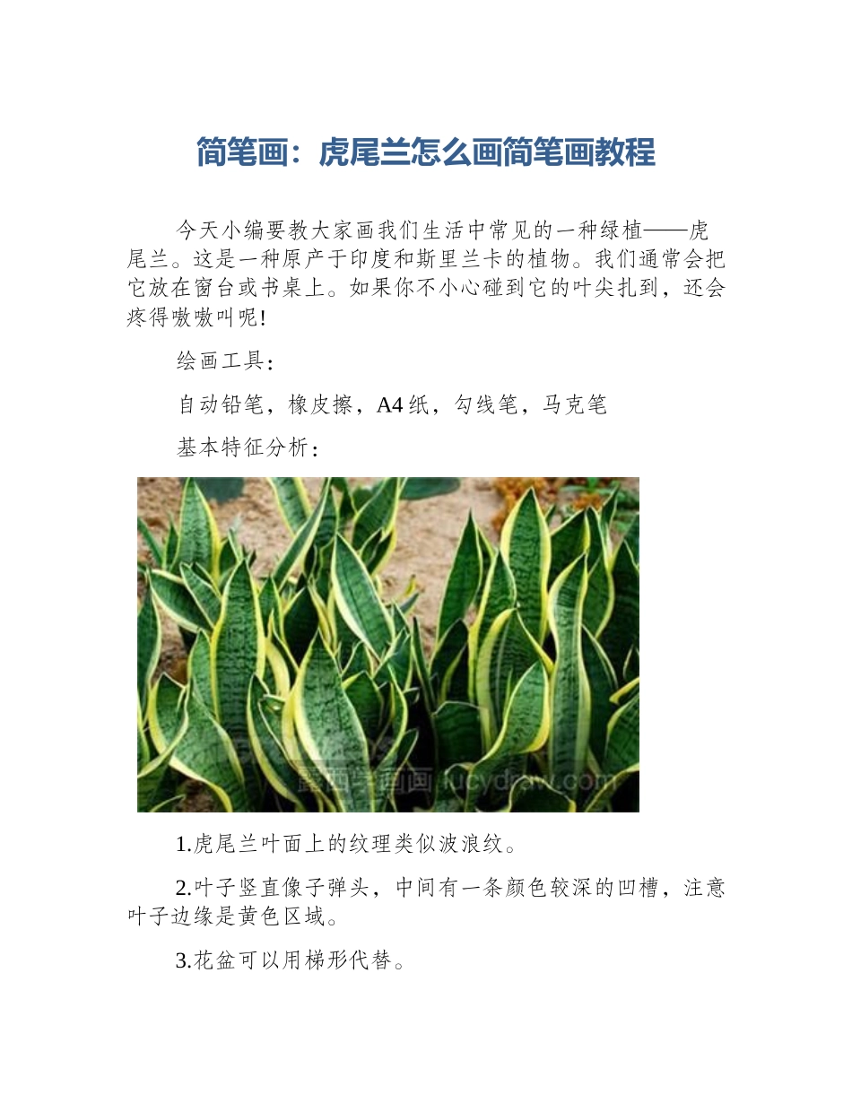 简笔画：虎尾兰怎么画简笔画教程_第1页