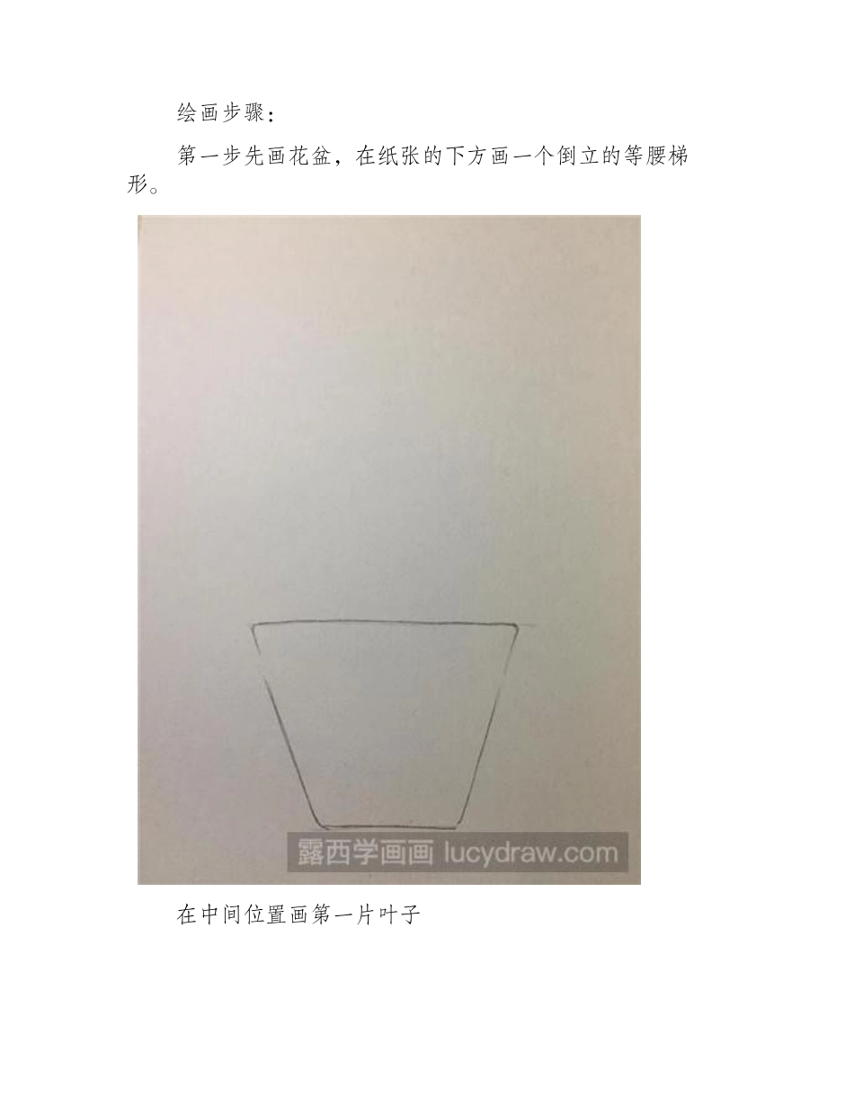 简笔画：虎尾兰怎么画简笔画教程_第2页
