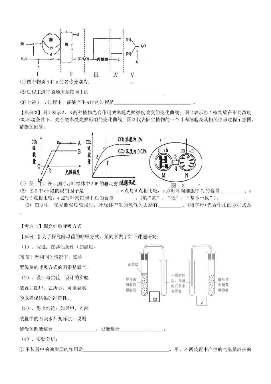 福建省晋江市首峰中学七年级生物 《光合作用和呼吸作用》专题复习教案_第2页