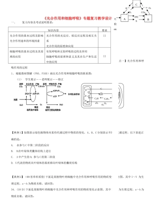 福建省晋江市首峰中学七年级生物 《光合作用和呼吸作用》专题复习教案