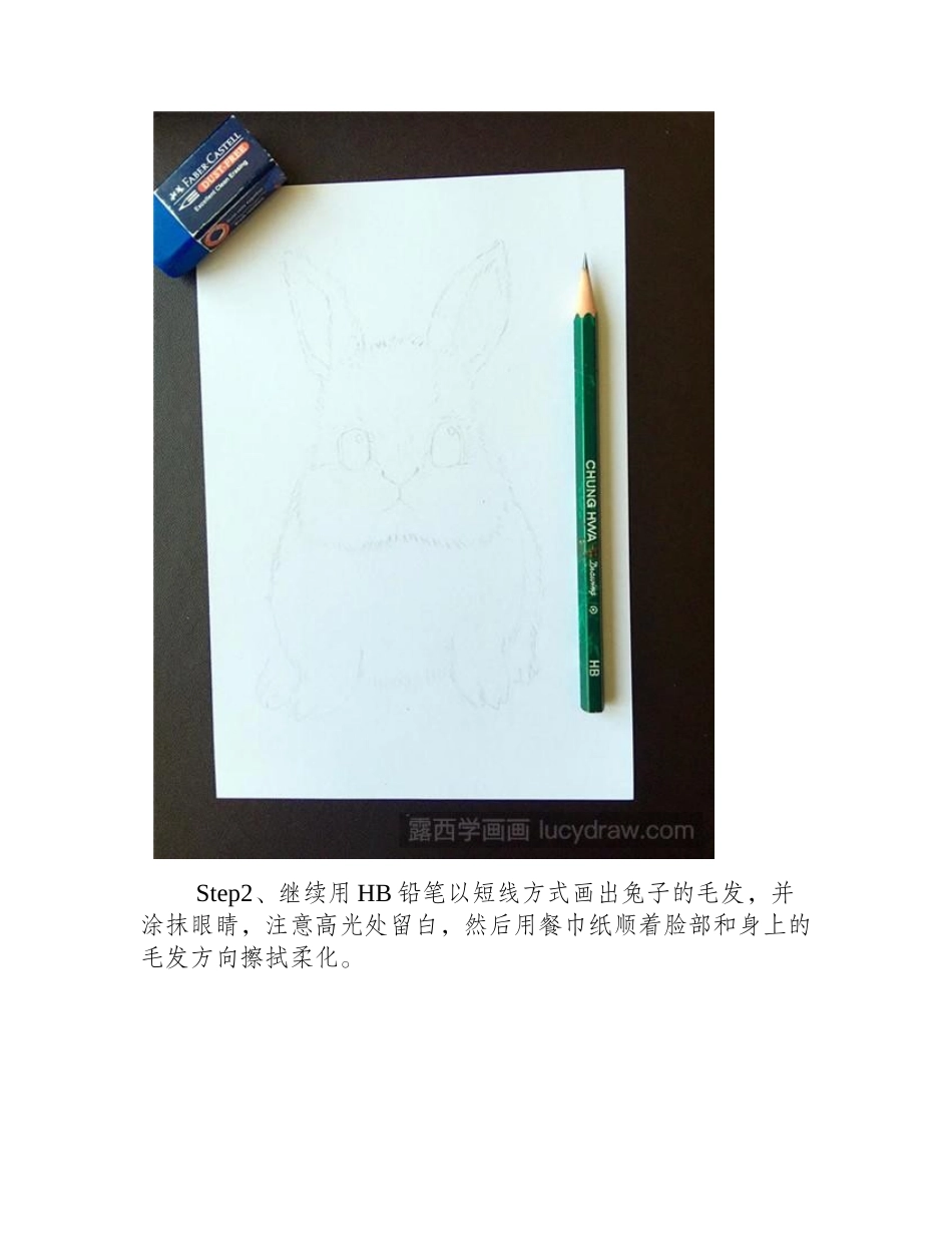 海棠兔彩铅画教程彩铅画教程_第2页