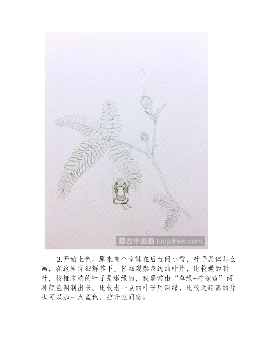 含羞草插画教程插画教程_第2页