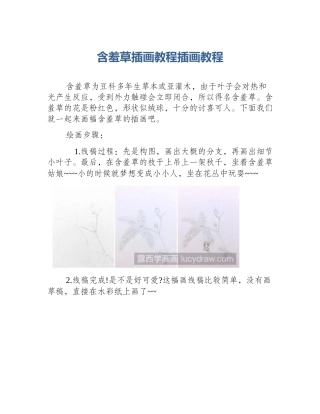 含羞草插画教程插画教程