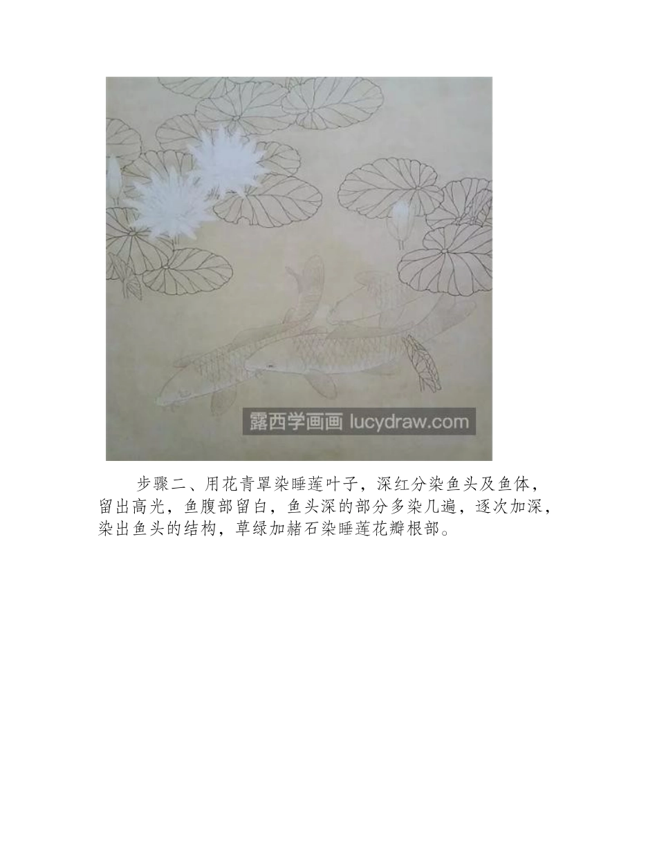 红鲤鱼怎么画_白莲花工笔设色过程有哪些_工笔画教程_第2页