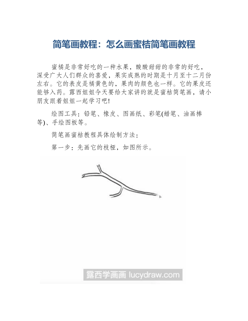 简笔画教程：怎么画蜜桔简笔画教程_第1页