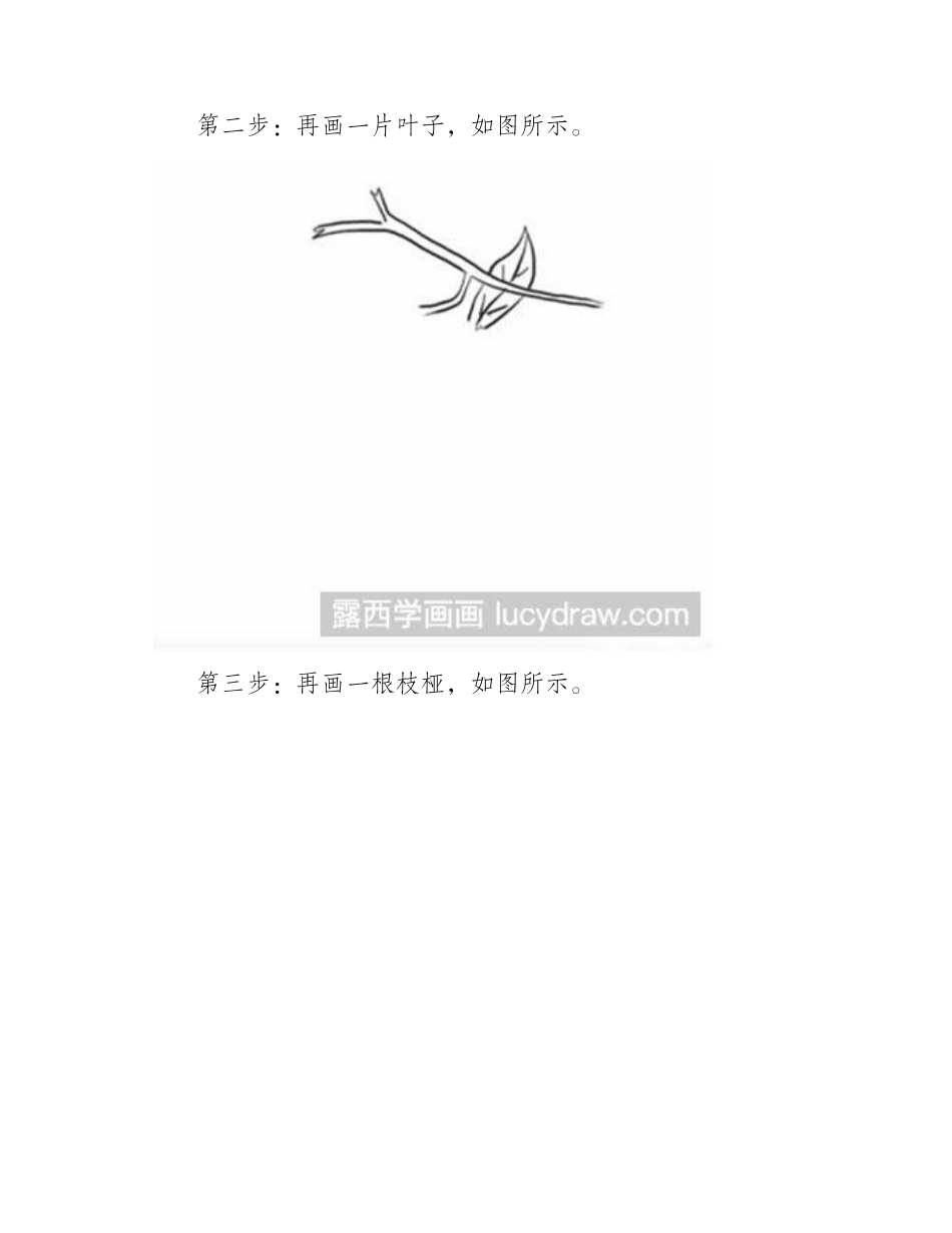 简笔画教程：怎么画蜜桔简笔画教程_第2页