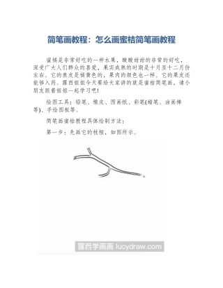 简笔画教程：怎么画蜜桔简笔画教程