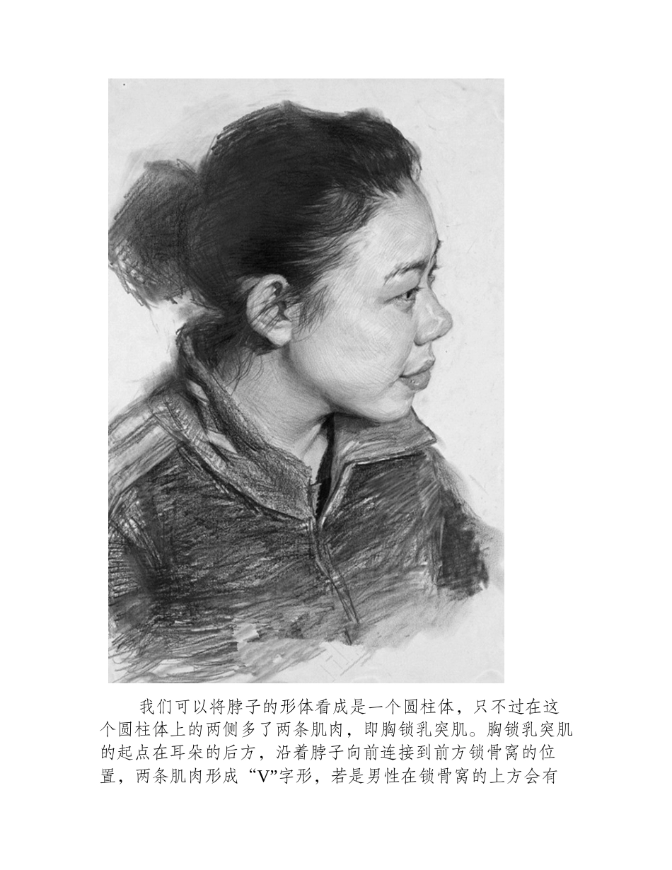 画好素描头像的技巧：如何处理好头颈肩关系素描教程_第2页